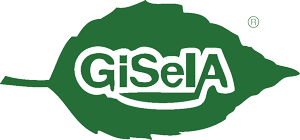 GİSELA