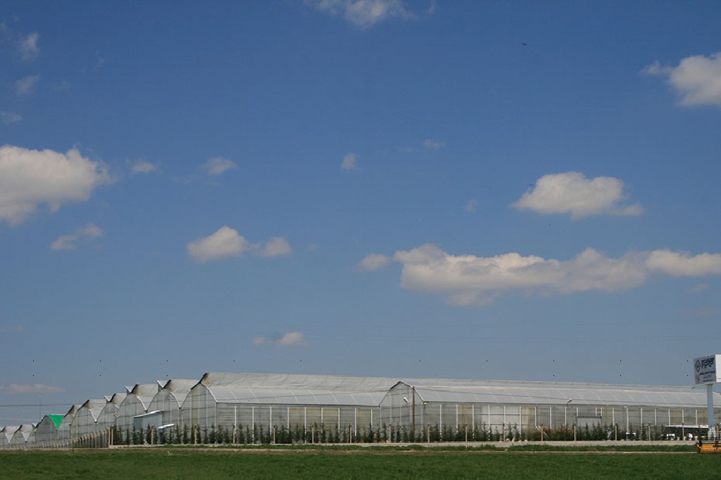 Our Greenhouse